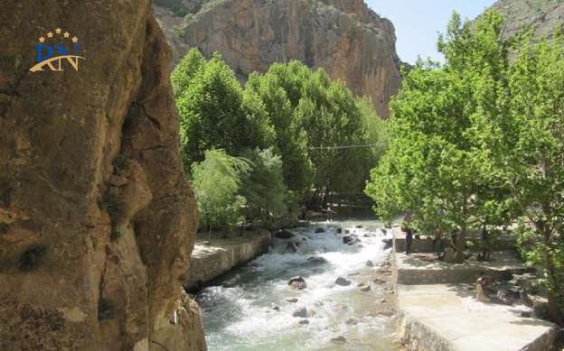 چشمه ناز ونک